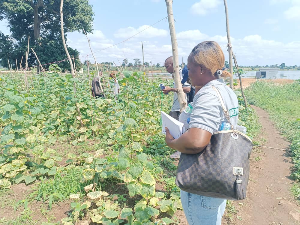 Culture SUPAGRO AFRIQUE