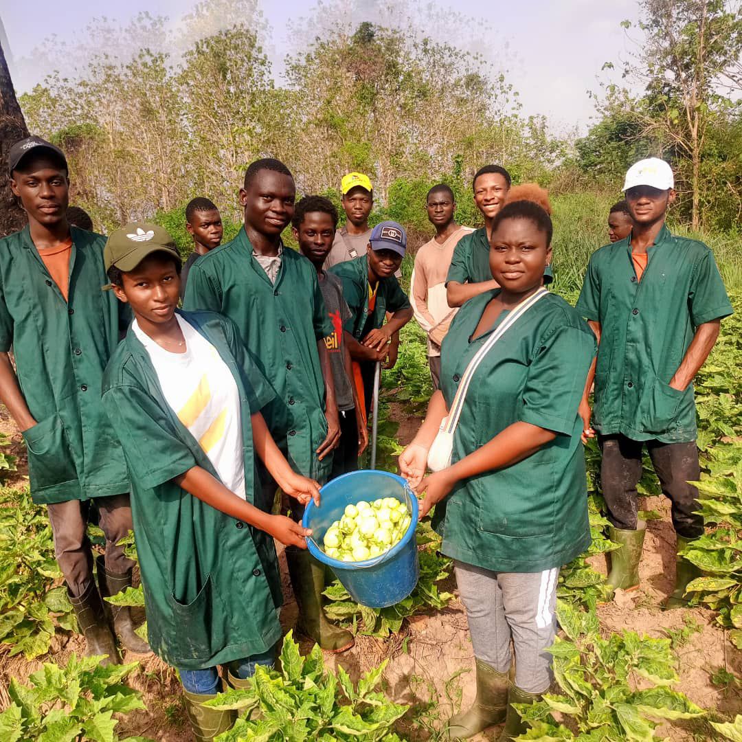 Culture SUPAGRO AFRIQUE